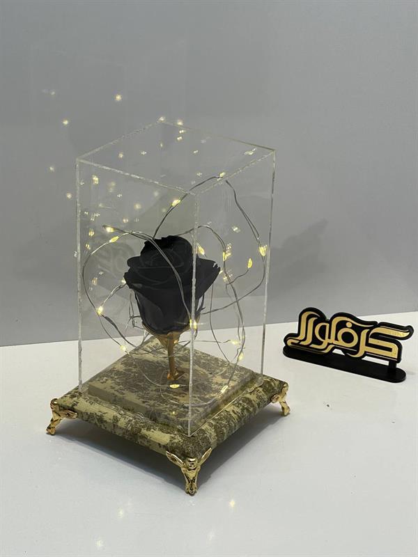 رز جاودان رویایی مشکی 240