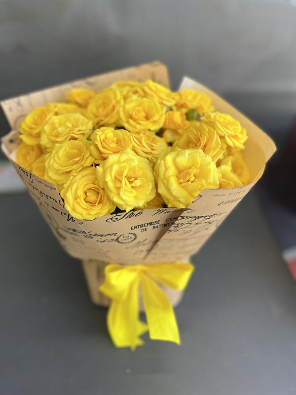 بایرون 284